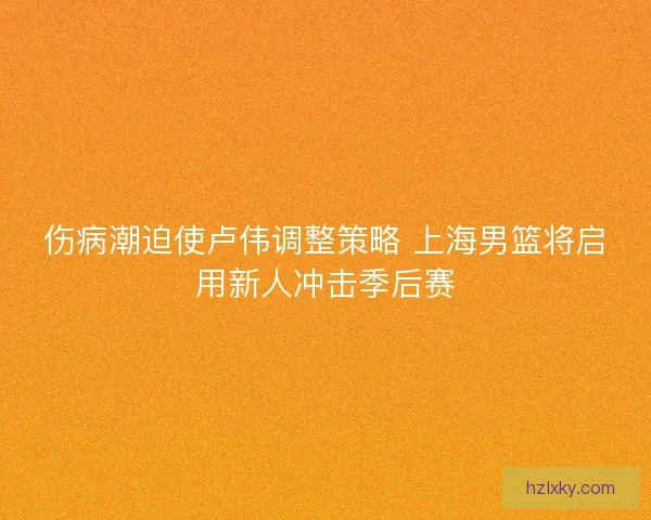 伤病潮迫使卢伟调整策略 上海男篮将启用新人冲击季后赛