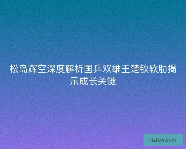 松岛辉空深度解析国乒双雄王楚钦软肋揭示成长关键